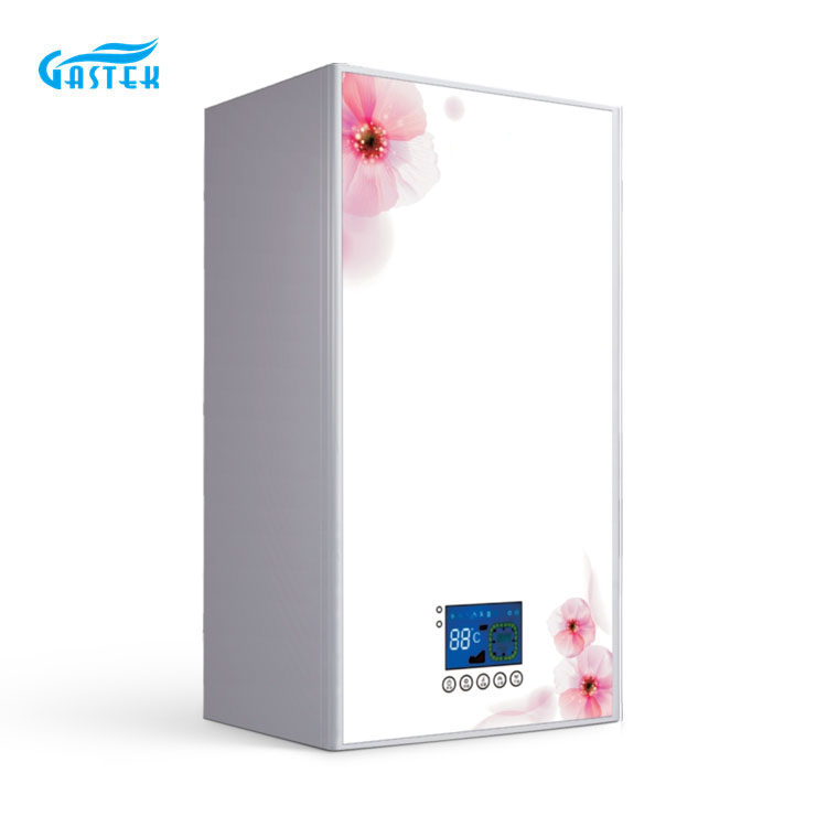 Ühine gaasiboiler